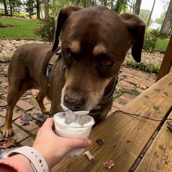 💁🏻♀️ HI!! 👸🏻 - Picture 10 of 16